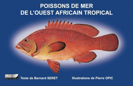 Poissons de mer de l&rsquo;ouest africain tropical